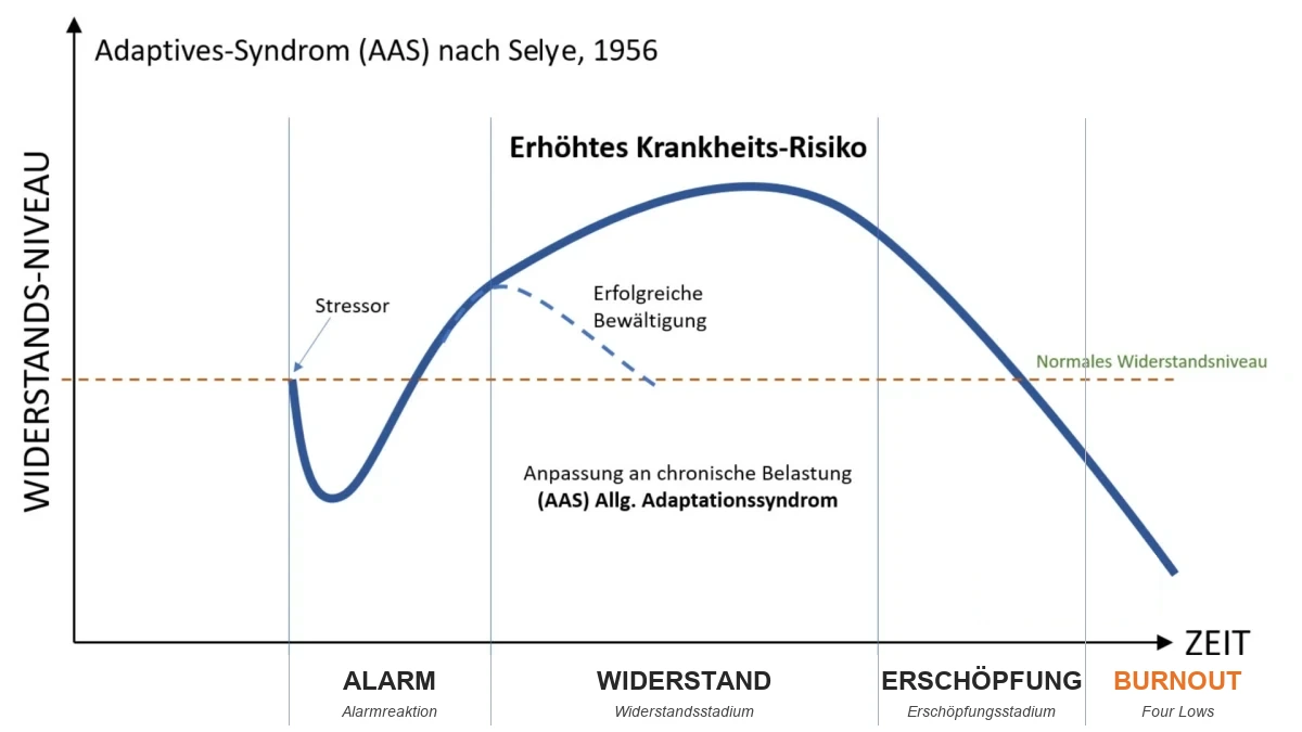 Stressmodell nach Hans Selye: Kurve der Widerstandskraft über die Zeit mit den Phasen Alarm, Widerstand, Erschöpfung und Burnout
